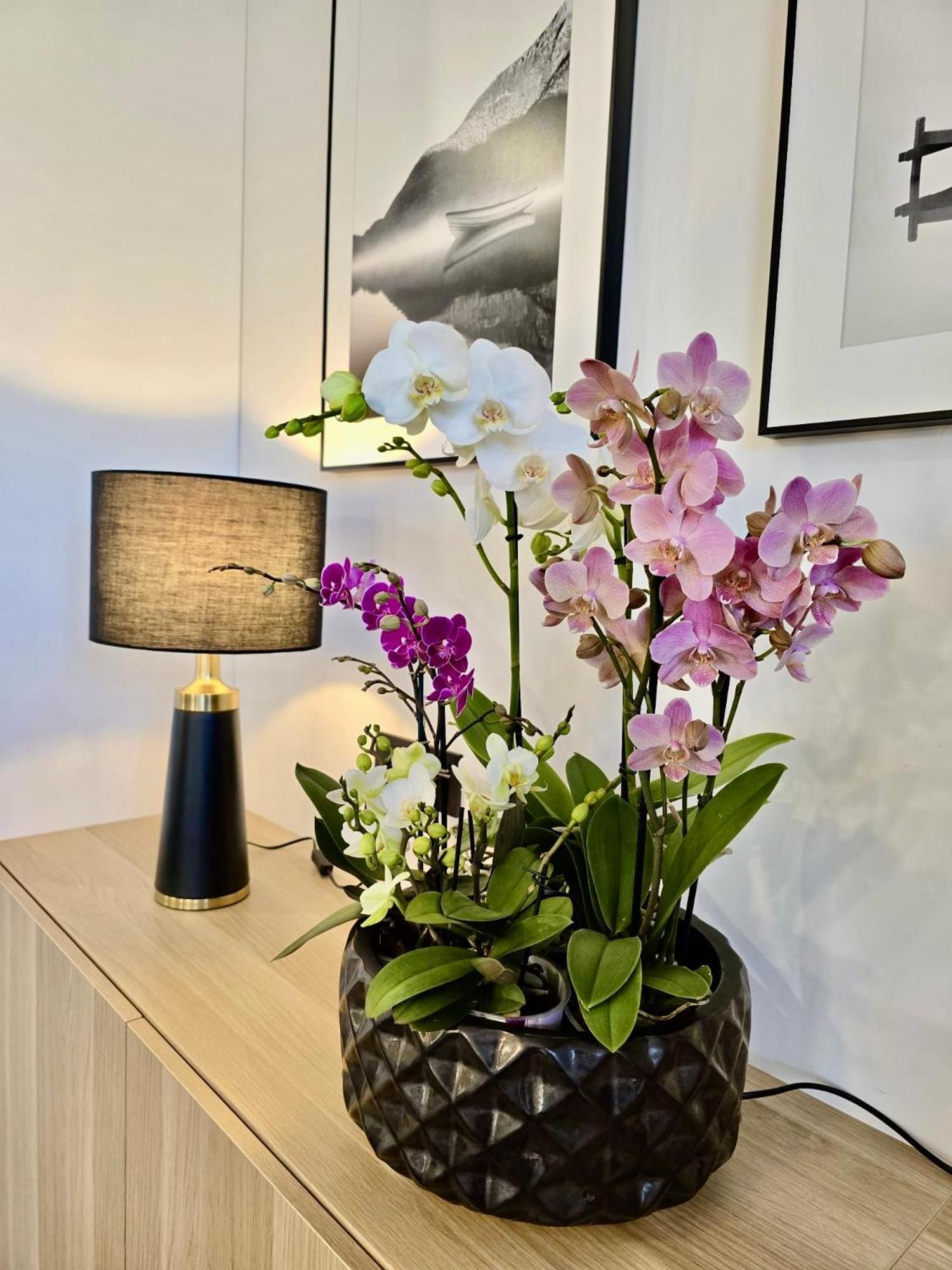 Alejos Apartmentai Comfort Druskininkai Esterno foto
